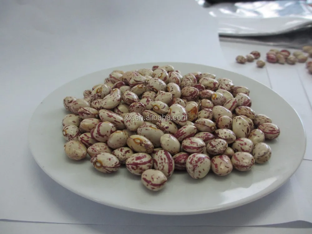 Light speckled kidney beans red kidney beans kidney beans benefits health