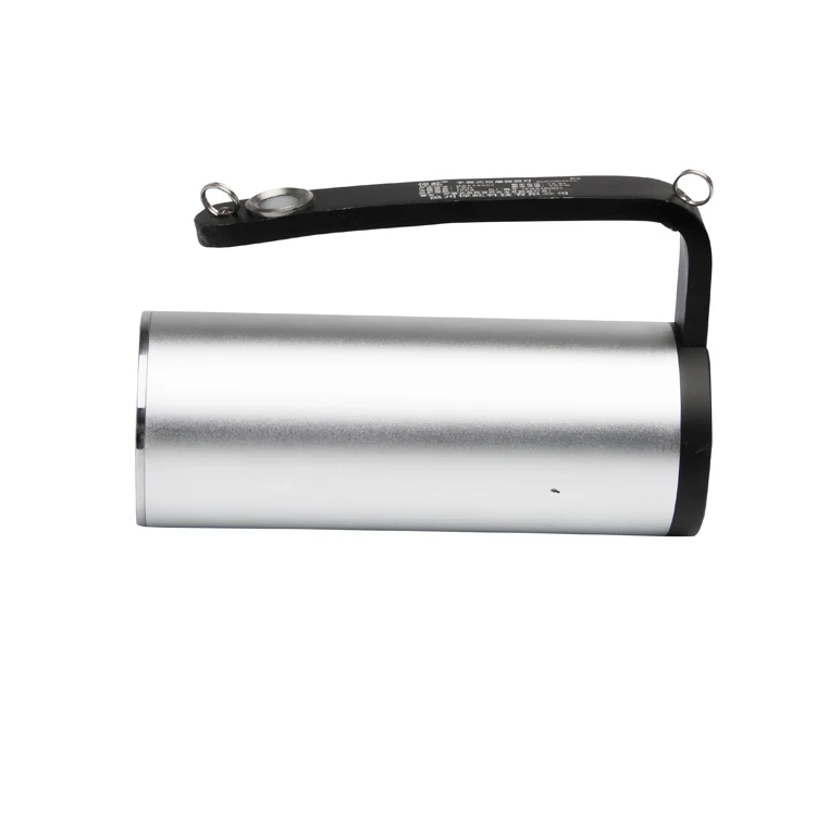 5 years Warranty explosion proof torch light