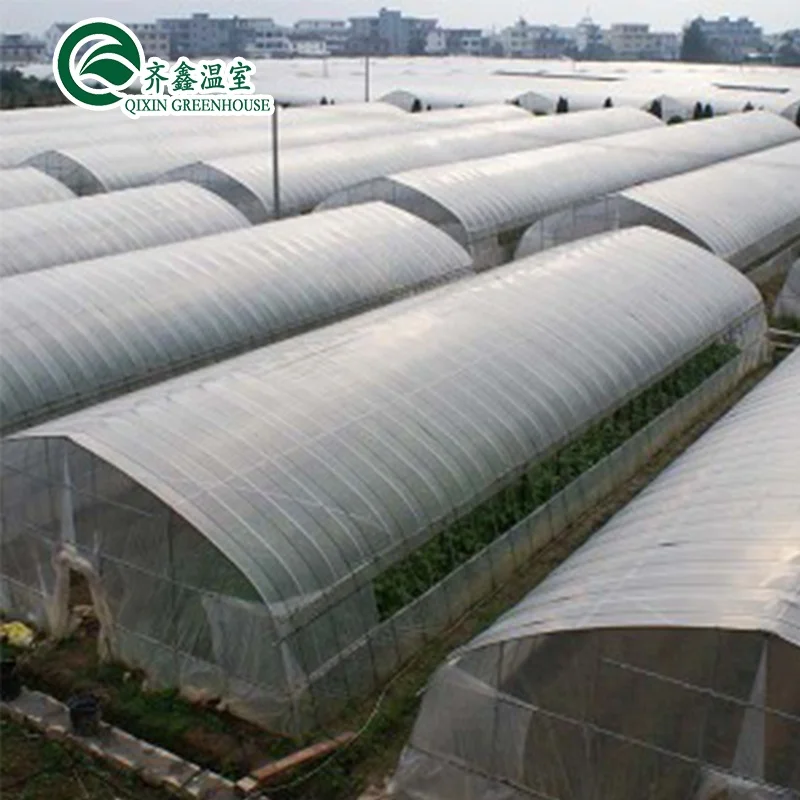 
Korean Greenhouse Hydroponic Single-Span Greenhouse Roofing Plastic For Sale 