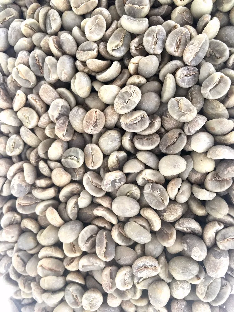 
Green AA Above Screen 18 Arabica Green Coffee Bean 