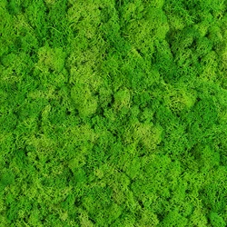 New products custom preserved reindeer outdoor artificial moss grass wall for decoration