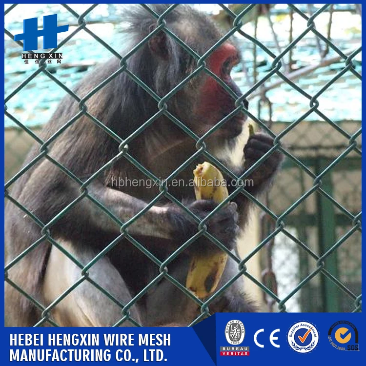 Лучшие продажи продуктов стальная цепь звено забор из alibaba Китай