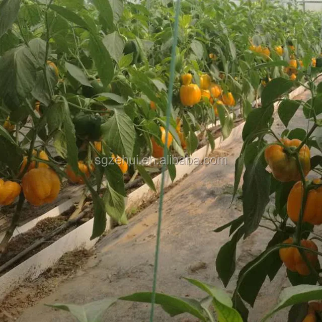 ZEHUI high quality fertilizer injector machine for water and fertilizer integration