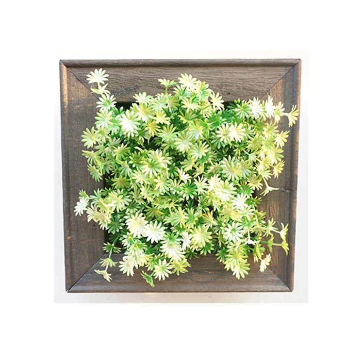 Fashion design home decor decorative succulent plant hanging wall photo plant plastic frame