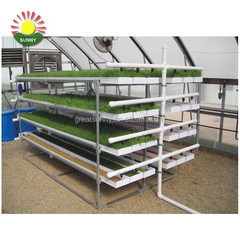 Cow /sheep /Cattle hydroponic fodder systems for sale
