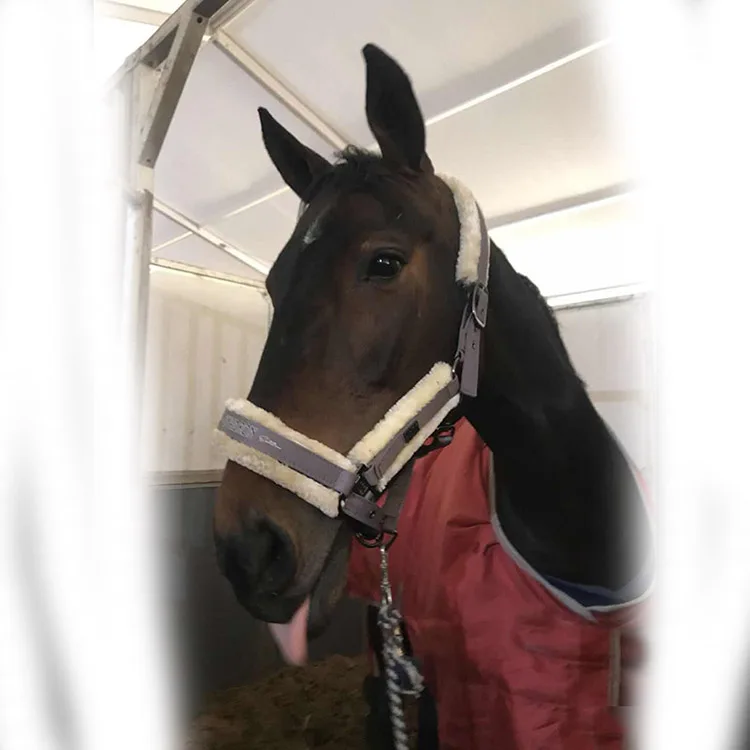 
Sheepskin Horse Halter With Lead Rope Equestrian Products 