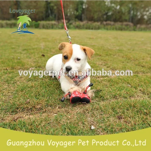 водонепроницаемый cordura и нейлона оболочки красные туфли собаки