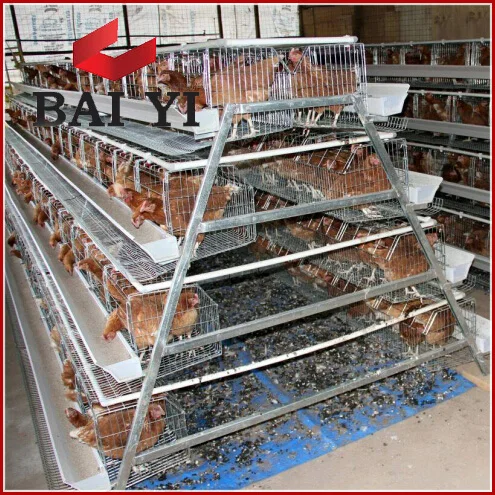 different size chicken cage for sale in philippines