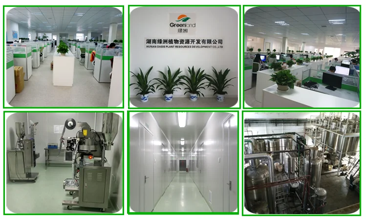 Factory Supply 100% Natural Kaempferia Parviflora Extract