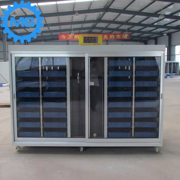 250kg daily output hydroponic fodder system