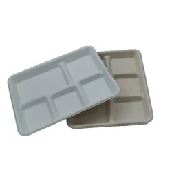 Biodegradable compostable Sugar Cane Lunch Tray Canteen Lunch 5 cpt Paper Tray