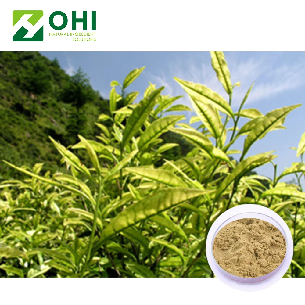 Растительный чистый натуральный Экстракт Кофеина, полифенолы, порошок, белый чай для похудения