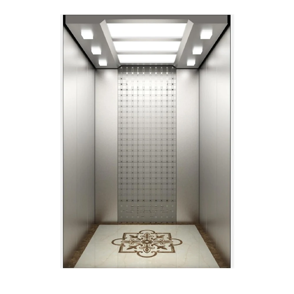 China Manufacturers Screw Drive Passenger Lifts Cabin Hotel Elevator Size