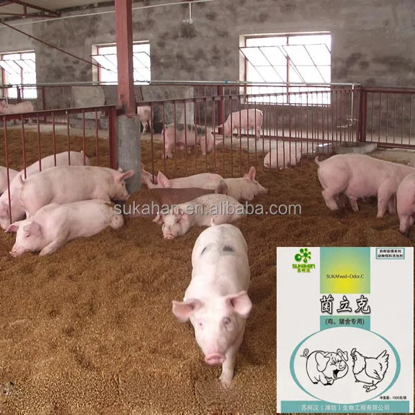 
animal farm odor control beneficial bacteria SUKAFEED fermentation Bed Bacteria 