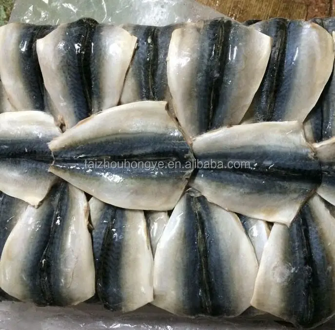 New material frozen pacific mackerel scomber japonicus butterfly flaps fillet for promotion with good quality