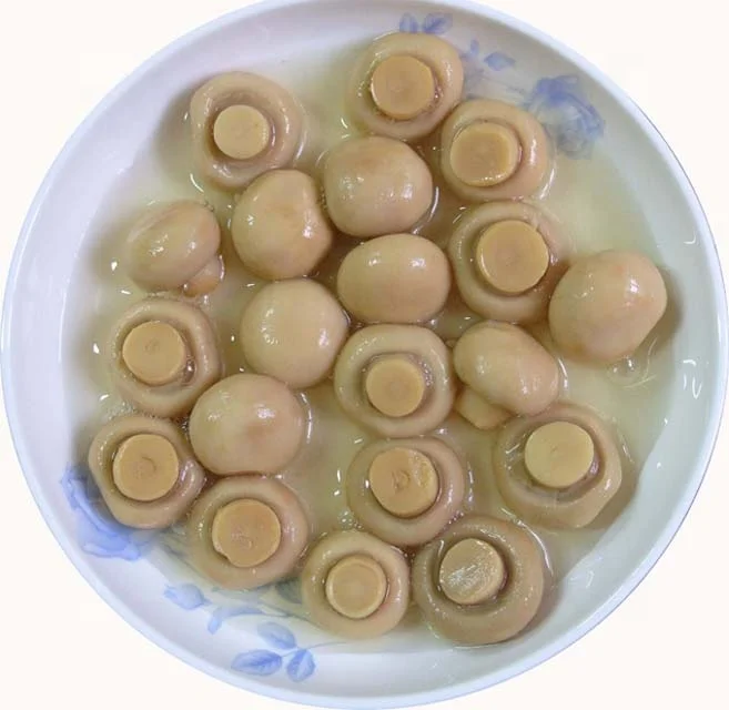 
Wholesale Chinese Best Canned Champignon Mushroom in Stock  (60850640827)