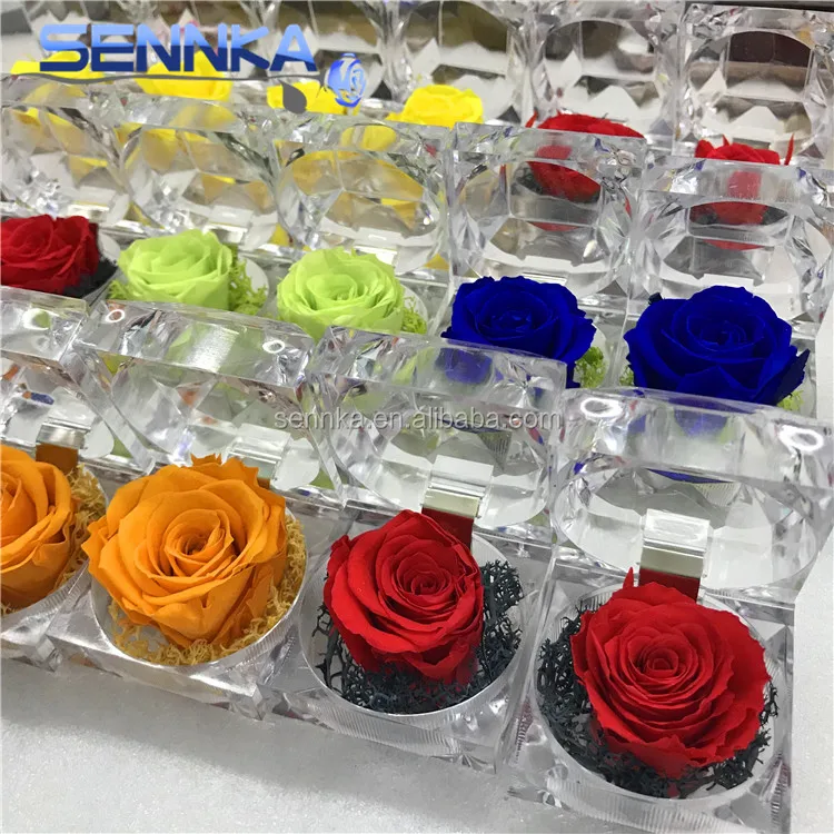 Perfect Christmas Valentines Romantic Gift Long Last Rose Small Preserved Roses in Ring Box