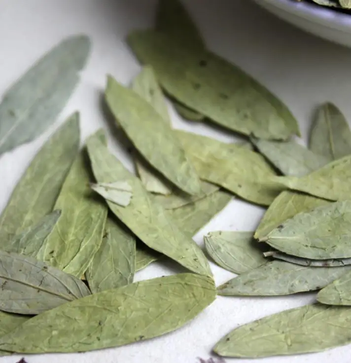 High quality raw Dried natural Indian Senna leaves