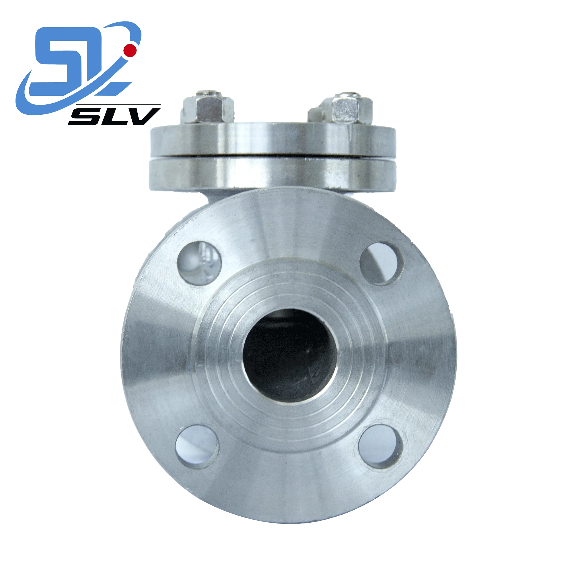 DN20~DN600 High Quality Anti-corrosive SUS304 SS316 SS316L Stainless Steel Vertical Swing Check Valve Standard High Temperature