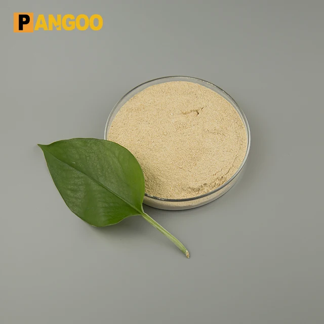 Nitrifying bacteria probiotics raw material