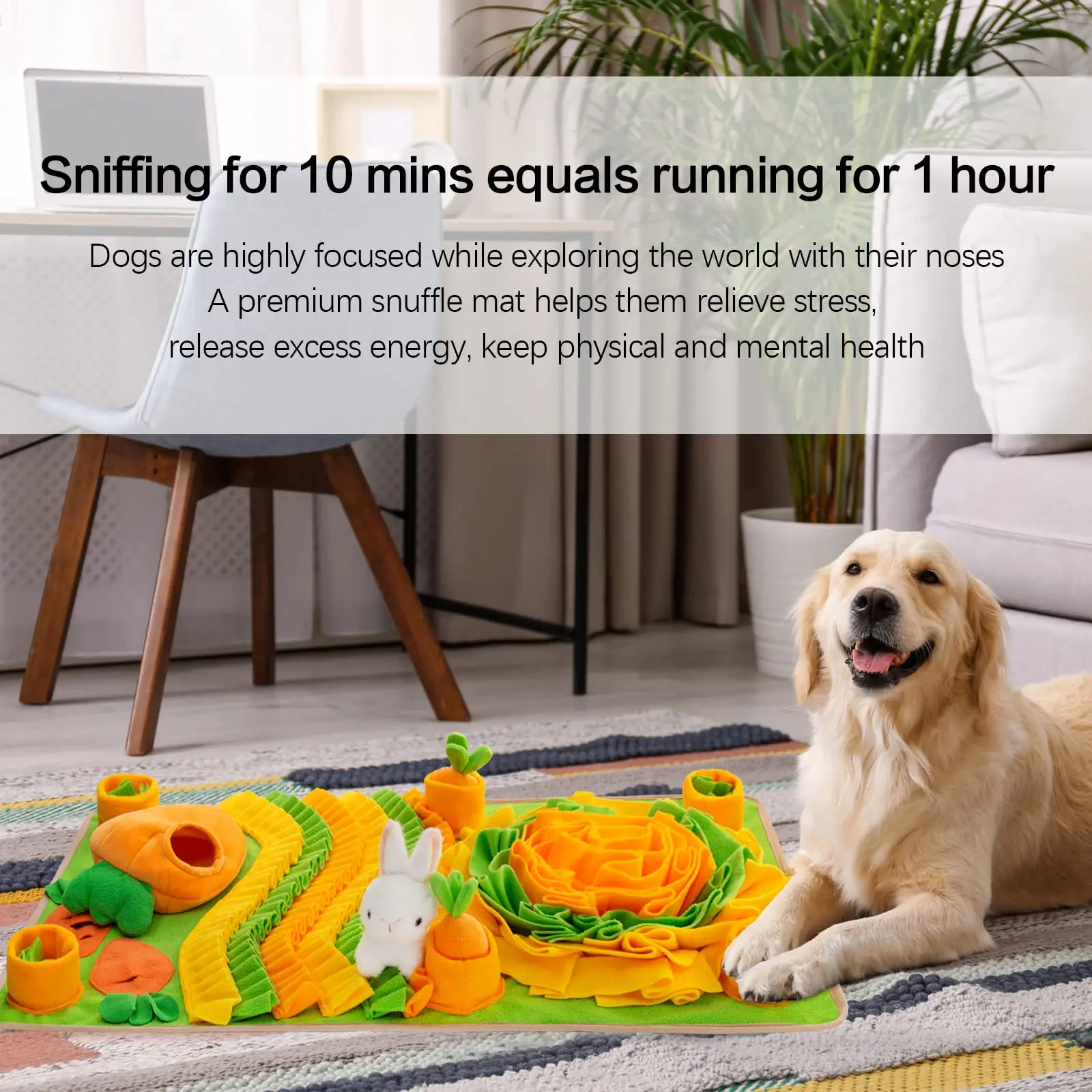 Amazon Hot Sale Interactive Feeding Game Products Pet Dog Nose Pad Apply to Olfactory Exercise of Cats and Dogs