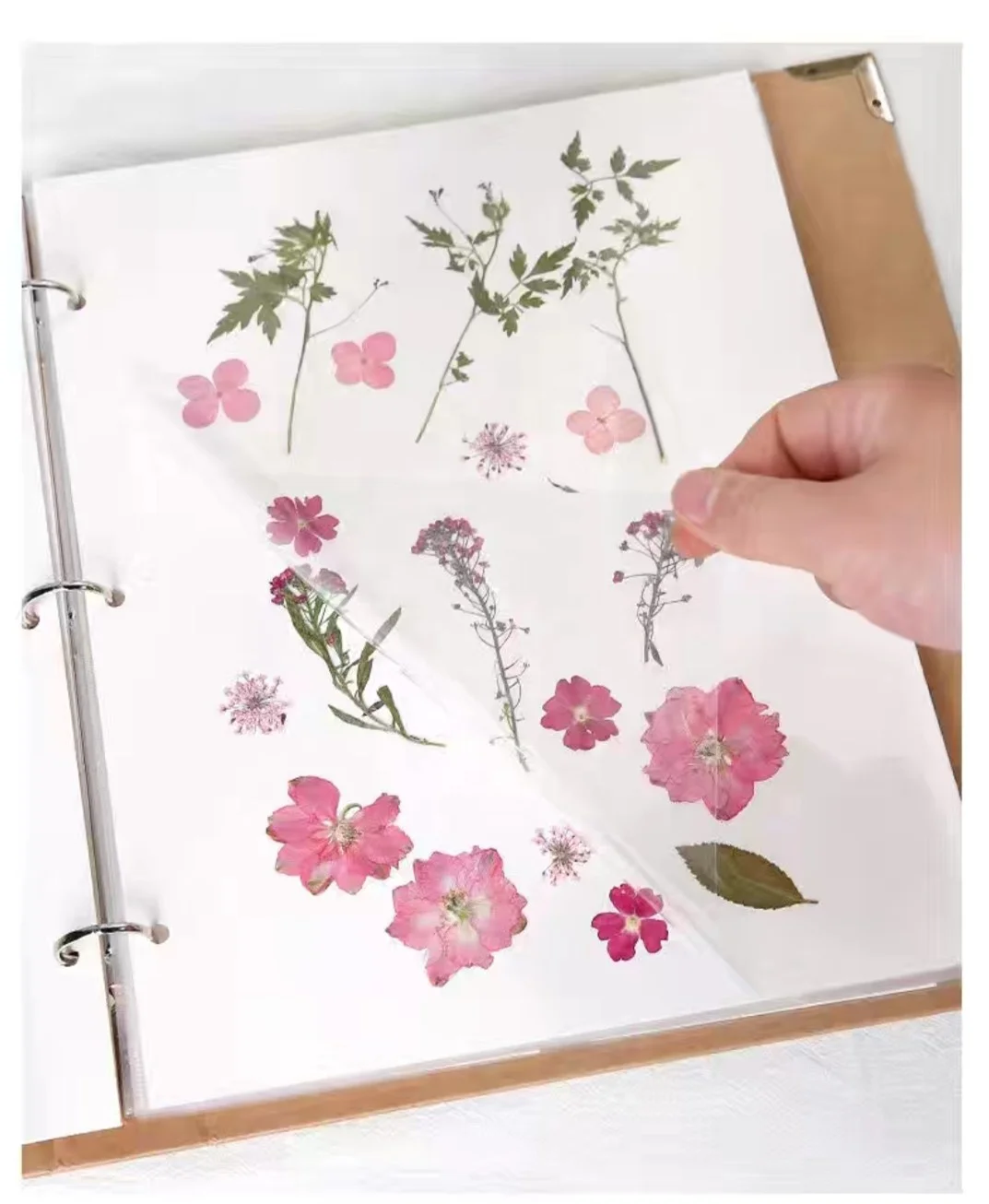 Metal  Clip  Binding  Book For Stamp / Specimen  collecting /Self- adhesive page  photo album