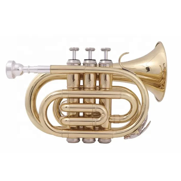 Cheaper price OEM manufacture gold lacquered student model pocket trumpet