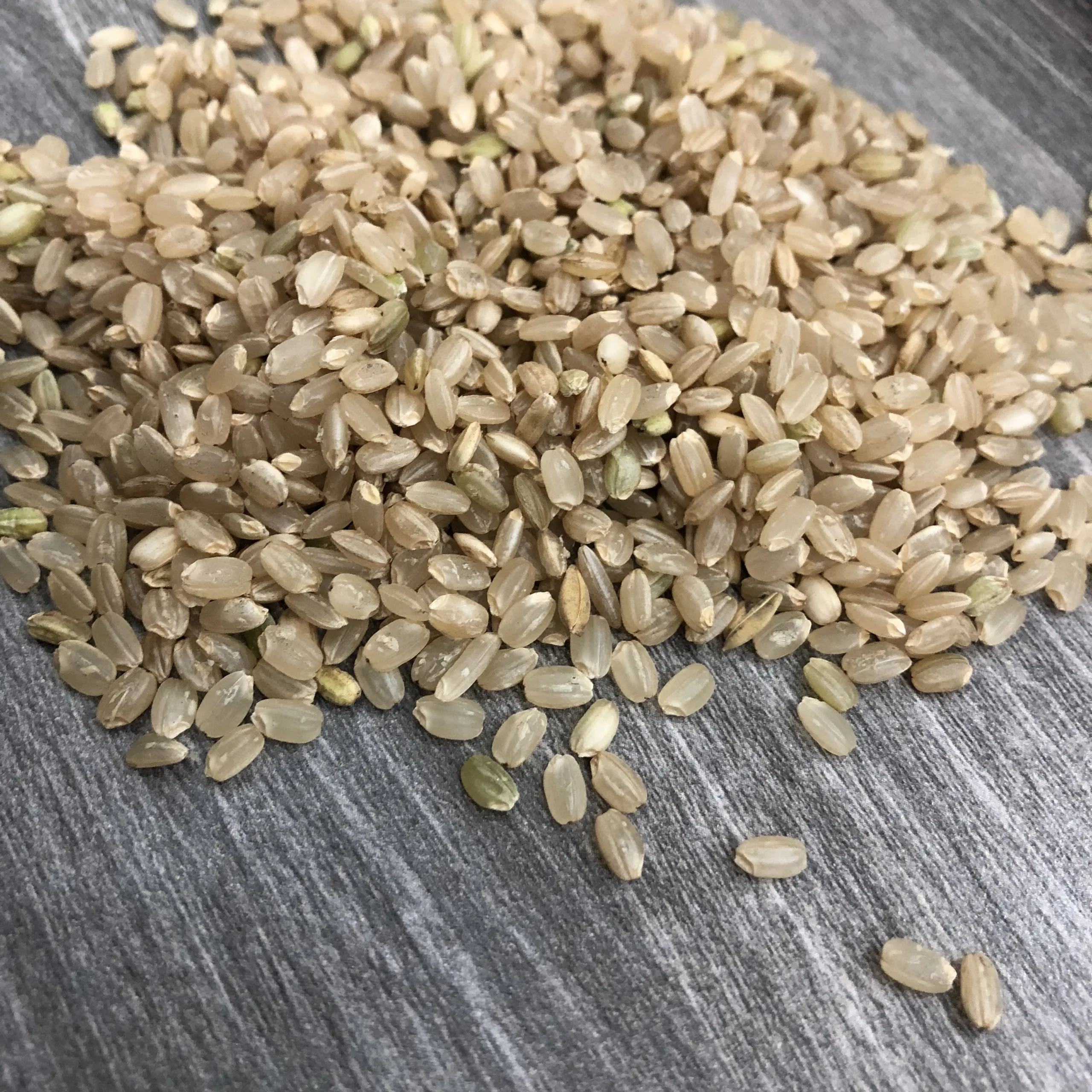 Brown Rice Custom Logo Package Good Price For Export Best Quality Brand Manufacturer Hot Selling From Vietnam