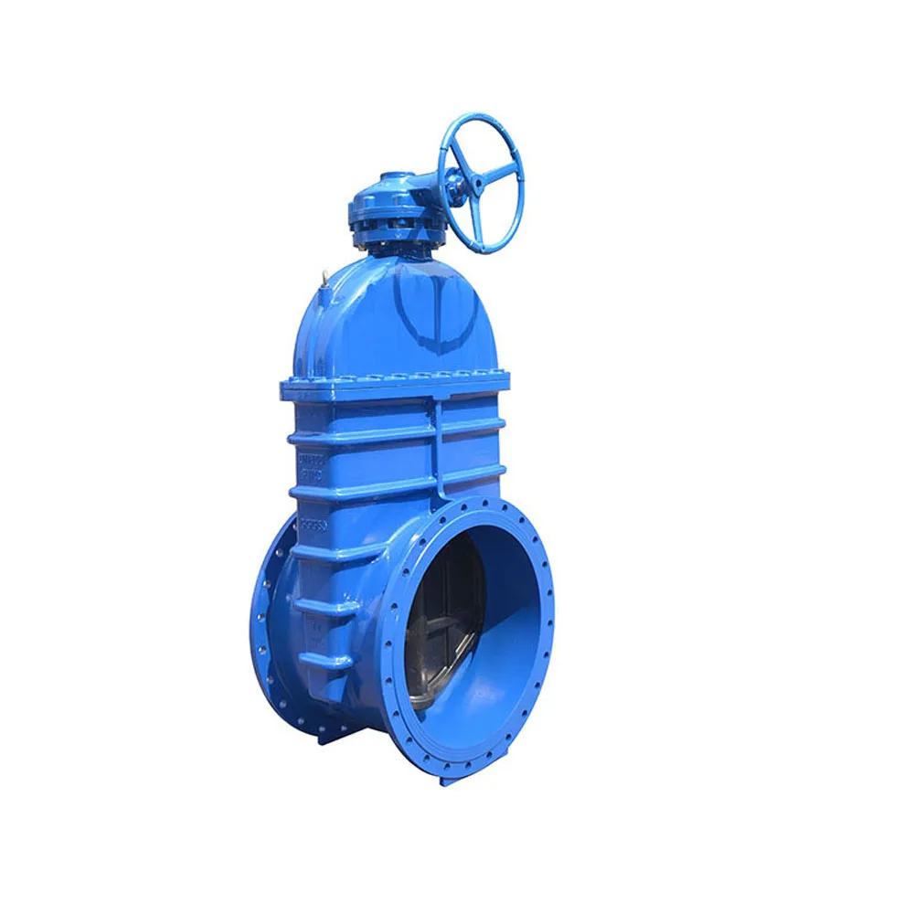  Моторизованный Железный затвор ducitle большого размера dn600 pn25
