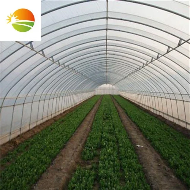 High quality cheap price greenhouse farm for tomato growing .