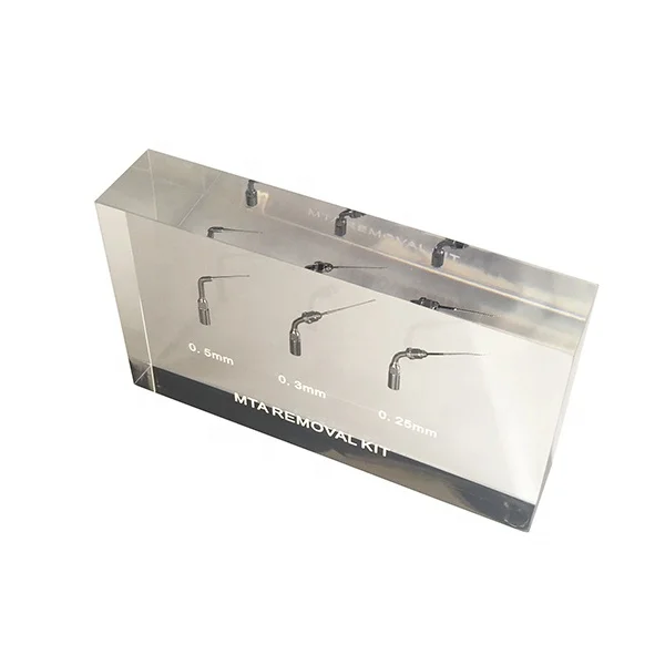 Customized Clear Acrylic Inclusions Gift Resin Embedment Acrylic Block