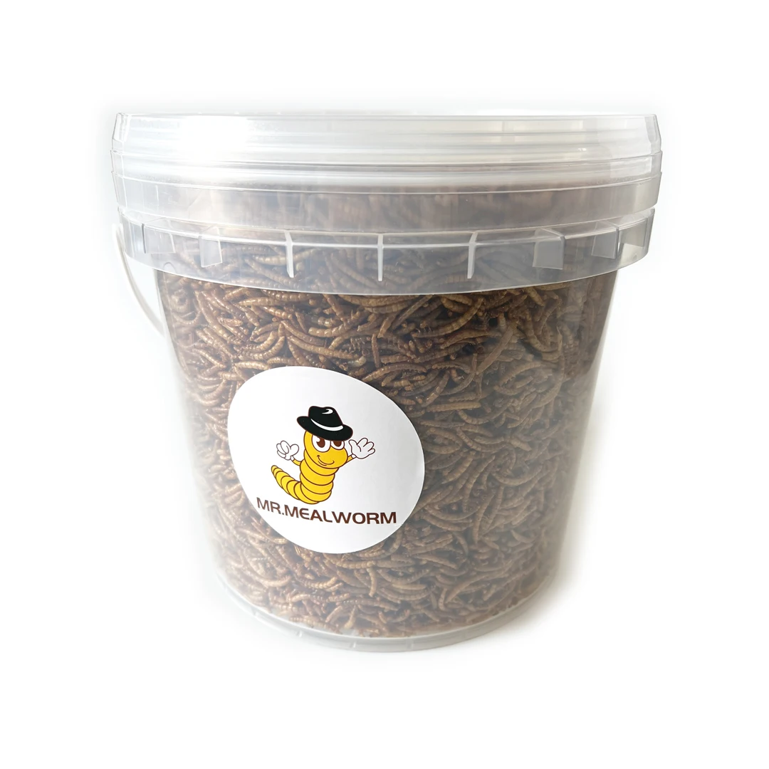 Wholesale High Nutrition Top Grade Pet Food Hamster Food Mealworm Bird Food Dry Mealworms