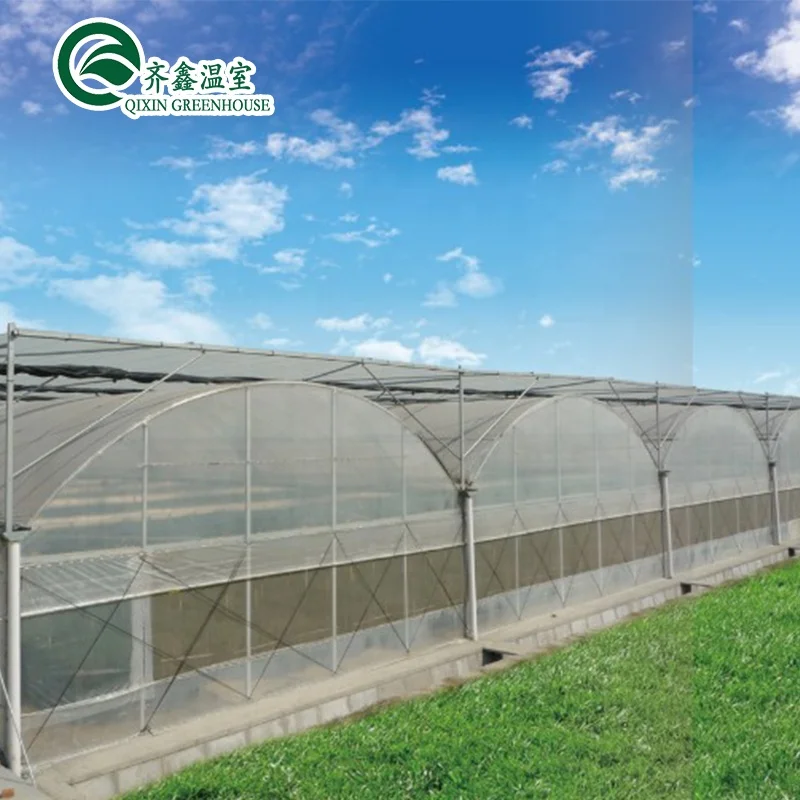 greenhouse aquaponics hydroponic growing systems