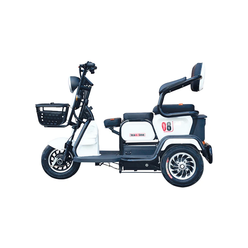 2022 New Oem Products Family Use Electric Tricycle Electric Tricycle With Passenger And Freight Functions
