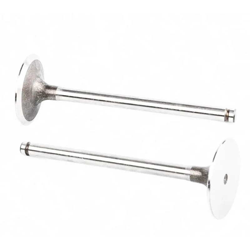 7700273371 7701465088 7701465090 7701468149 7700865832 Inlet Outlet Valve for Dacia Logan Renault Megane 1.4 1.6 K7J K7M E7J E7F