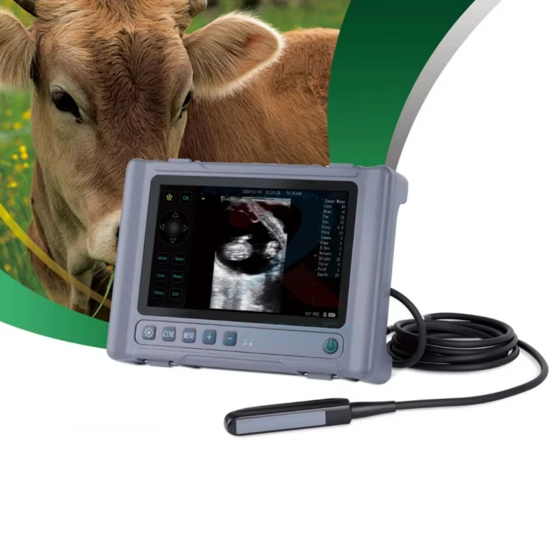 Animal Pregnancy Diagnostic System Portable Full Digital Veterinary Ultrasound Machine Handheld Ultrasound Scanner
