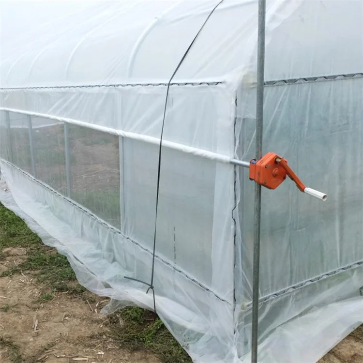 Baolida invernadero size 26ft 100ft plastic PE film high arch tunnel tomato greenhouse