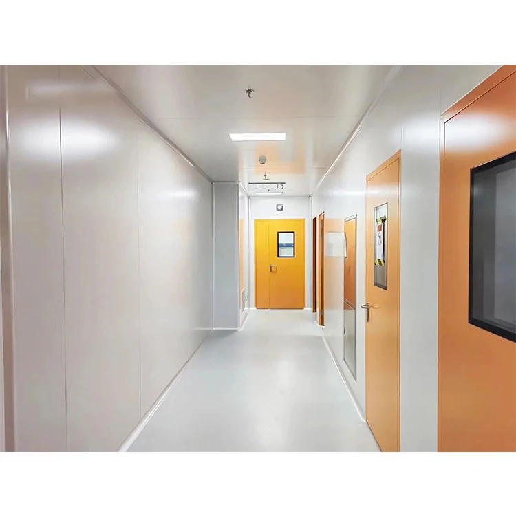Customized Gmp Anti-Bacterial Clean Room Door System Interior Laboratory Purification Hospital Steel Medical Double Door