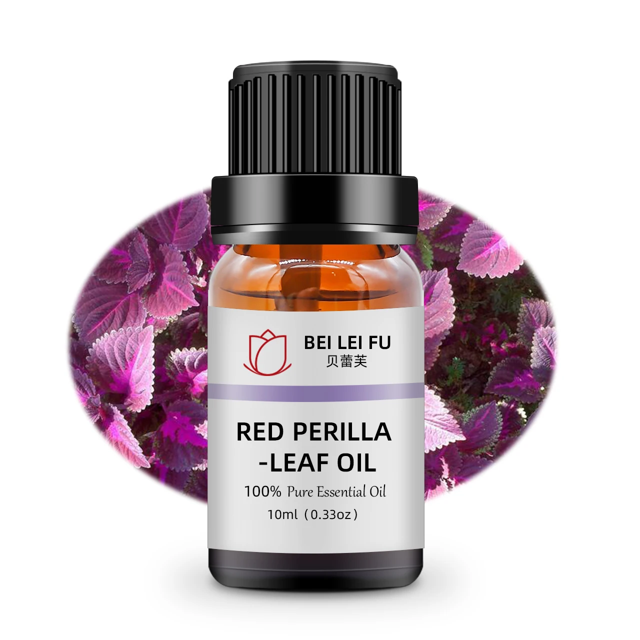 Wholesale perilla leaf essential oil with best price