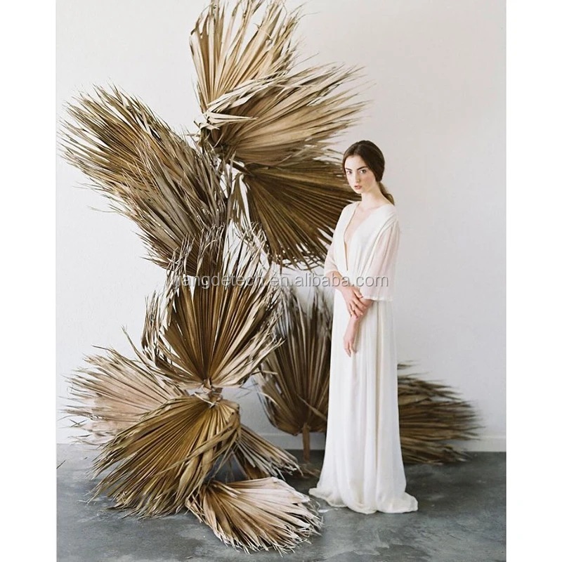Ins Popular Wedding Party Decorative / shop deco / Home deco / Real Natural Flower Large Dried Palm Leaves