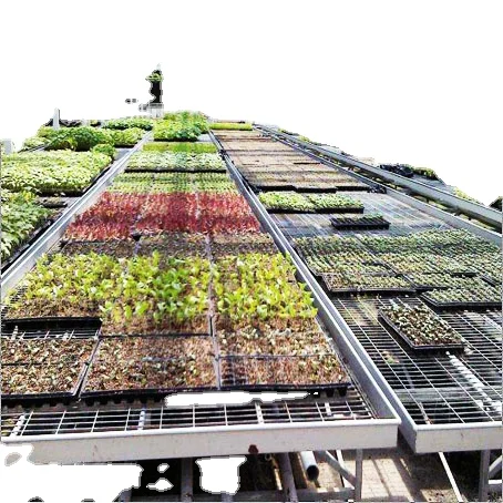 FM Mobile Seedbed Net Hot-dip Galvanized Mesh Greenhouse Seedling Bed Tidal Bed For Seedling Production