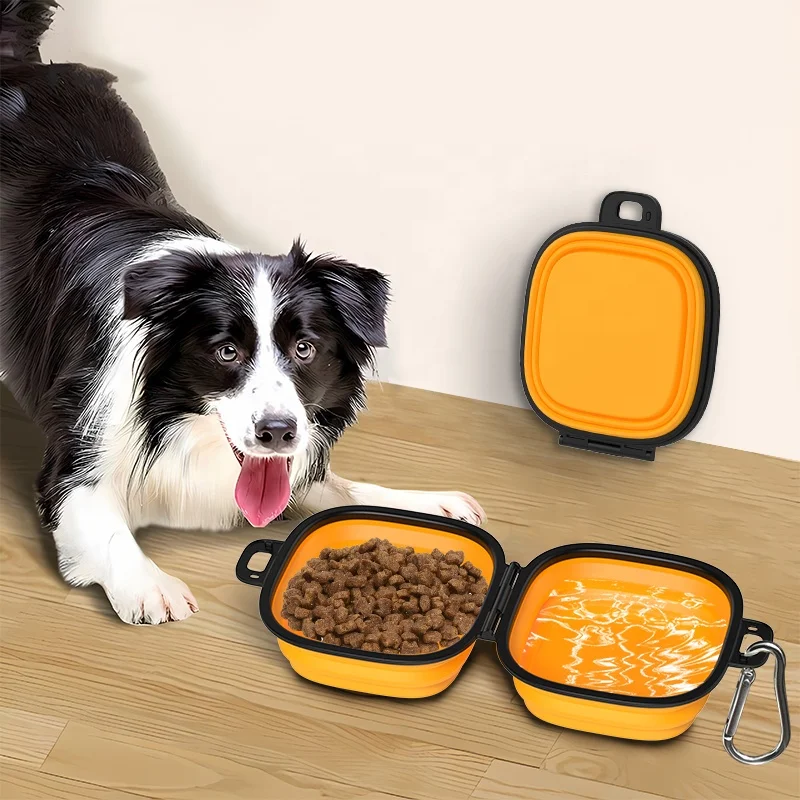 Manufacturer Portable Food Grade Silicone Collapsible 2 in 1 Double Pet Cat Dog Food Water Feeding Travel Bowls