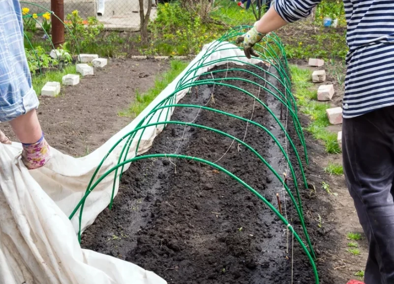 Vegetable planting greenhouse bracket vegetable mini greenhouse set vegetable protection rack