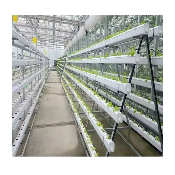 Оптовая продажа аксессуары для сельскохозяйственных теплиц гидропонная система посадки в помещении вертикальная