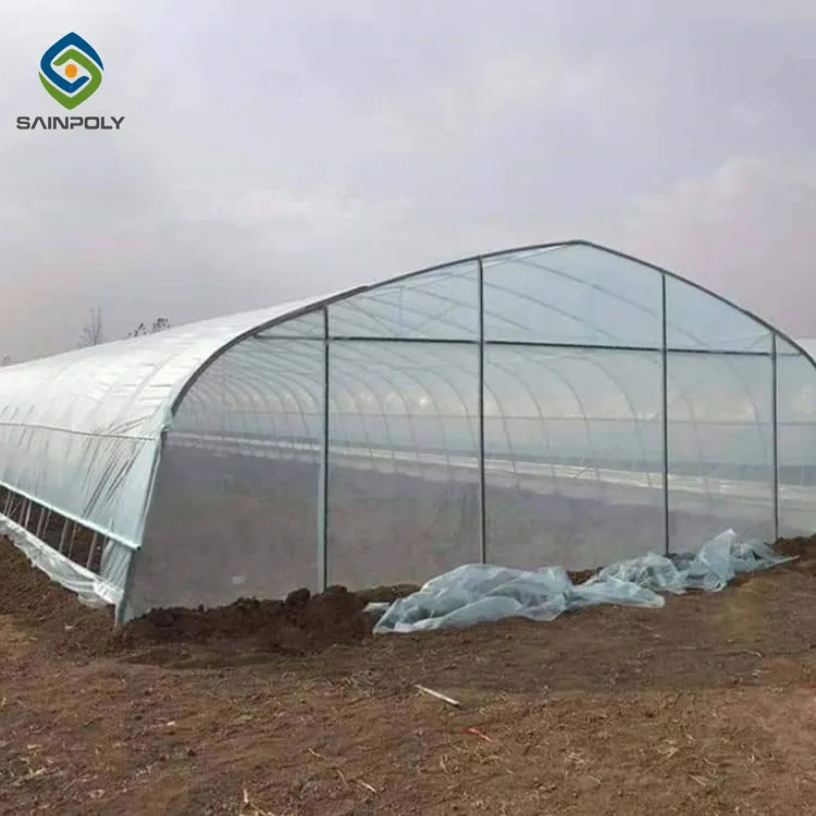 Hot Sale Sainpoly Economical Tunnel Greenhouse Design for Growing Vegetables