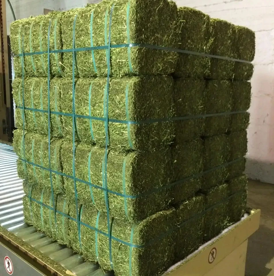 Affordable High-Quality Alfalfa And Timothy Hay For Animal Feed At Discounted Prices Best Animal Feeding Supplier