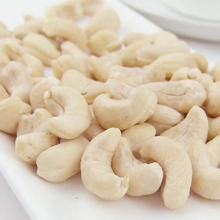 Wholesale Best Price Raw Cashew Nuts/ Roasted Big Kernel Cashew