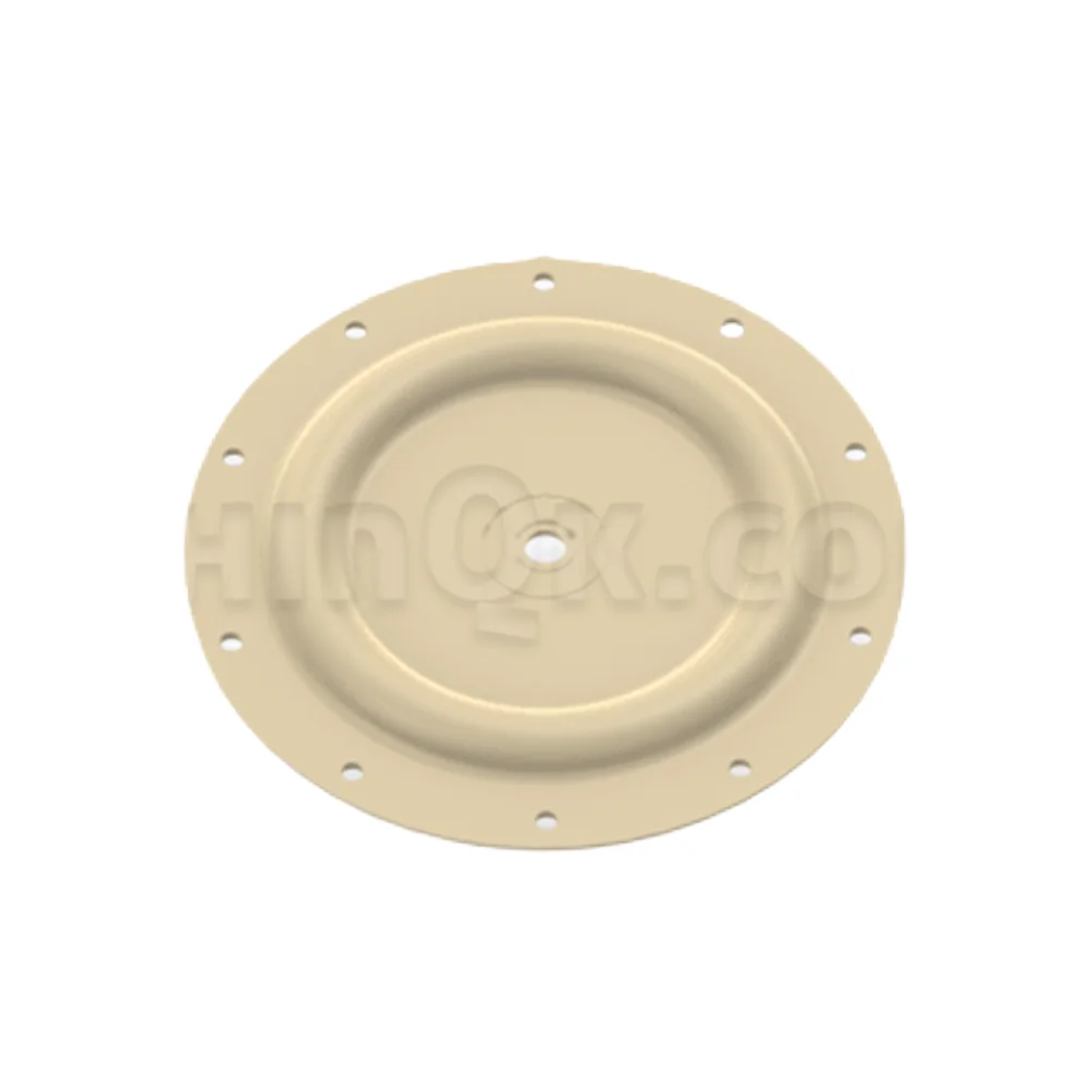 Diaphragm Pump Spare Parts/ 96475-C HYTREL