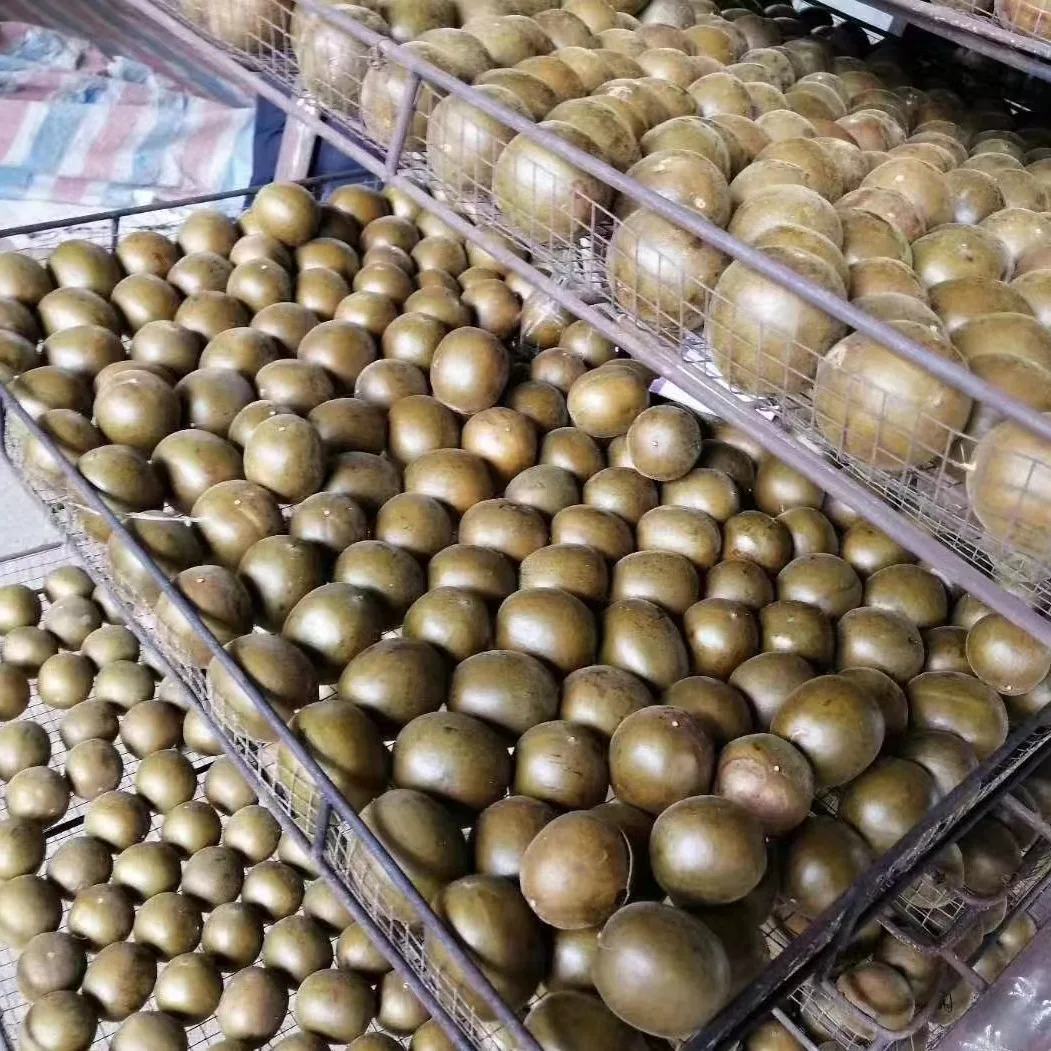 Premium Quality Factory Wholesale Dried Momordica Grosvenori Herbal Tea Soothe Throat Sweet Mangosteen Fruit Tea Luo Han Guo