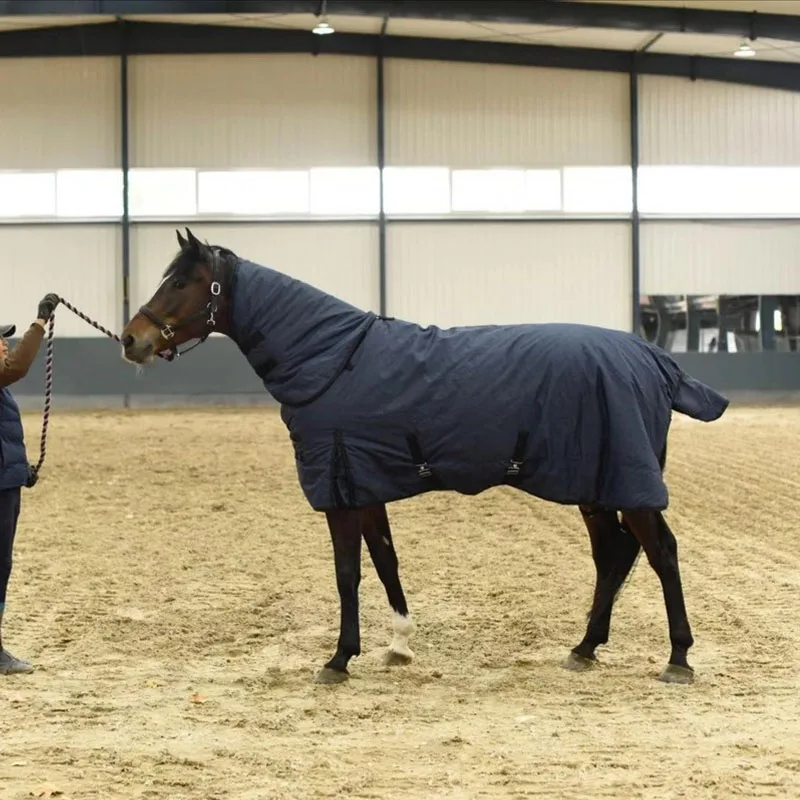 Horse Care Blanket Winter Waterproof Rain Use 1200D with Gussets Standard Neck Blanket Medium for Horse